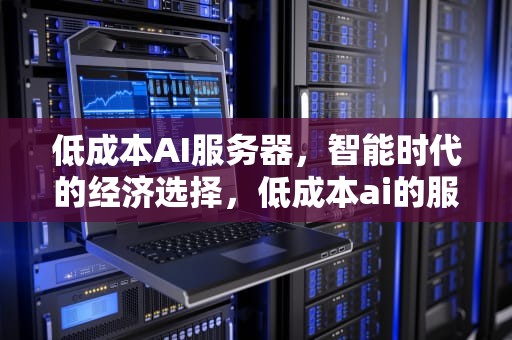 低成本AI服务器，智能时代的经济选择，低成本ai的服务器有哪些