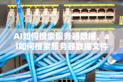 AI如何搜索服务器数据，ai如何搜索服务器数据文件