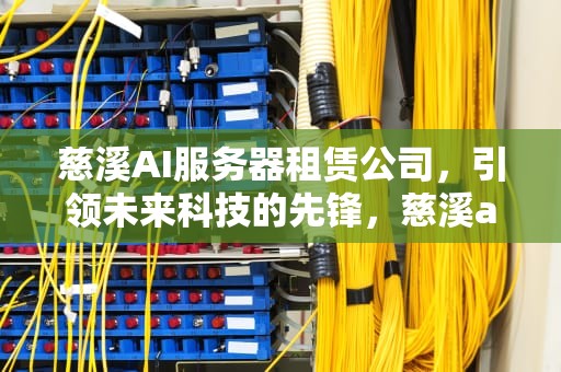 慈溪AI服务器租赁公司，引领未来科技的先锋，慈溪ai服务器租赁公司电话