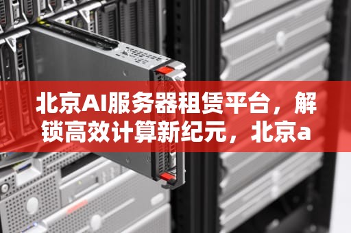 北京AI服务器租赁平台，解锁高效计算新纪元，北京ai服务器租赁平台有哪些