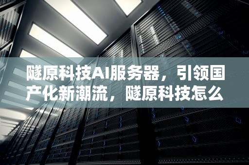 隧原科技AI服务器，引领国产化新潮流，隧原科技怎么样
