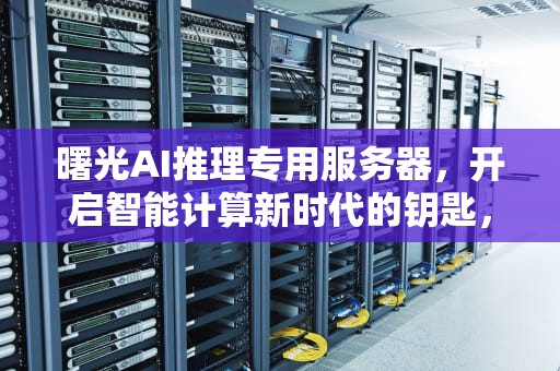 曙光AI推理专用服务器，开启智能计算新时代的钥匙，曙光ai推理专用服务器是什么