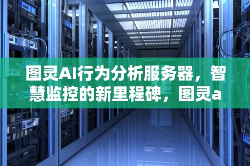 图灵AI行为分析服务器，智慧监控的新里程碑，图灵ai行为分析服务器怎么用