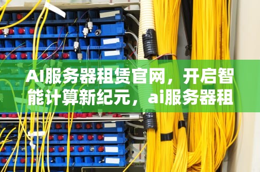 AI服务器租赁官网，开启智能计算新纪元，ai服务器租赁官网