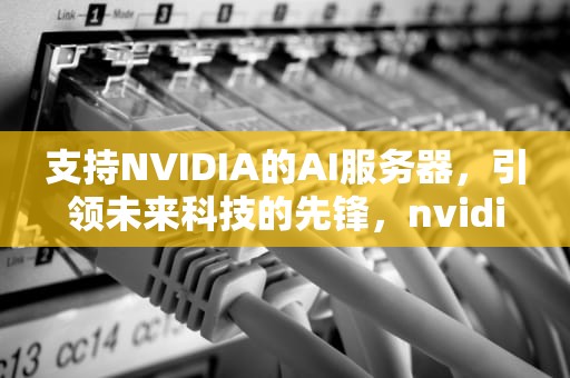 支持NVIDIA的AI服务器，引领未来科技的先锋，nvidia 服务器