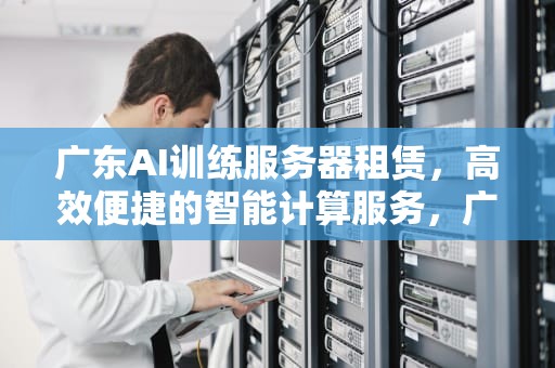 广东AI训练服务器租赁，高效便捷的智能计算服务，广东ai训练服务器租赁公司