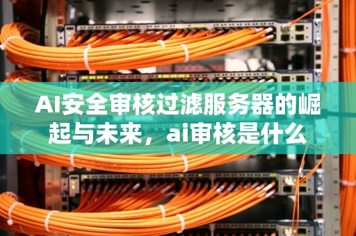 AI安全审核过滤服务器的崛起与未来，ai审核是什么