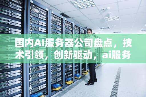 国内AI服务器公司盘点，技术引领，创新驱动，ai服务器有哪些公司做的
