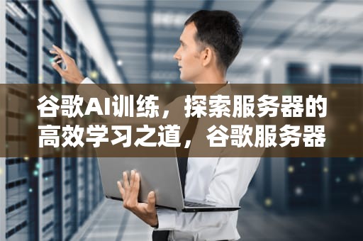 谷歌AI训练，探索服务器的高效学习之道，谷歌服务器ai训练在哪里