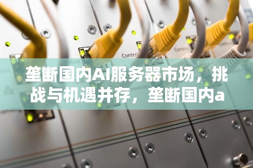 垄断国内AI服务器市场，挑战与机遇并存，垄断国内ai服务器市场分析
