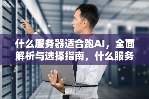 什么服务器适合跑AI，全面解析与选择指南，什么服务器好用