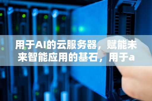 用于AI的云服务器，赋能未来智能应用的基石，用于ai的云服务器有哪些