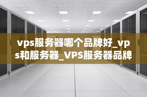 vps服务器哪个品牌好_vps和服务器_VPS服务器品牌比较与选择