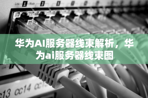 华为AI服务器线束解析，华为ai服务器线束图