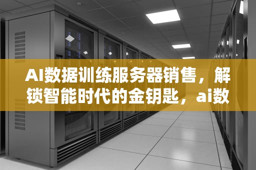 AI数据训练服务器销售，解锁智能时代的金钥匙，ai数据服务商