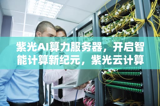 紫光AI算力服务器，开启智能计算新纪元，紫光云计算