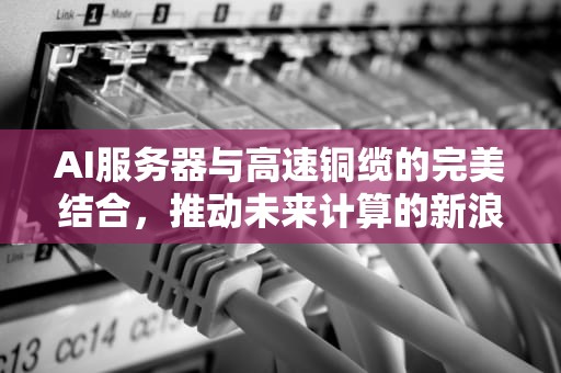 AI服务器与高速铜缆的完美结合，推动未来计算的新浪潮，服务器高速线