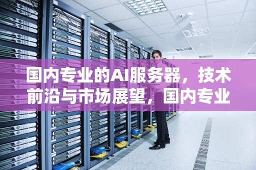 国内专业的AI服务器，技术前沿与市场展望，国内专业的ai服务器有哪些
