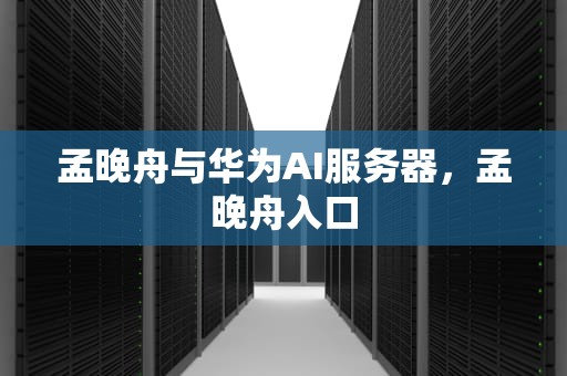孟晚舟与华为AI服务器，孟晚舟入口