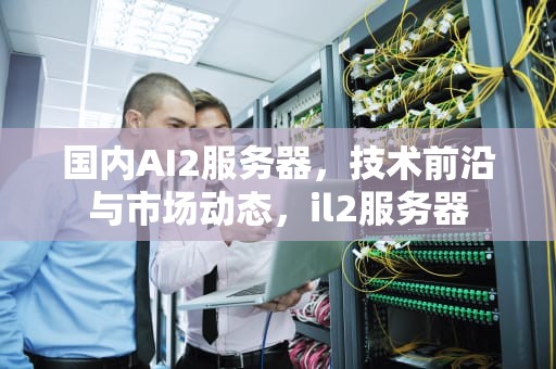 国内AI2服务器，技术前沿与市场动态，il2服务器