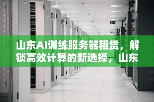 山东AI训练服务器租赁，解锁高效计算的新选择，山东ai训练服务器租赁公司