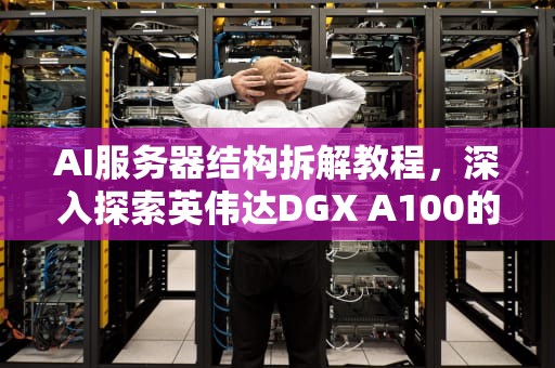 AI服务器结构拆解教程，深入探索英伟达DGX A100的内部构造，ai服务器结构拆解教程视频