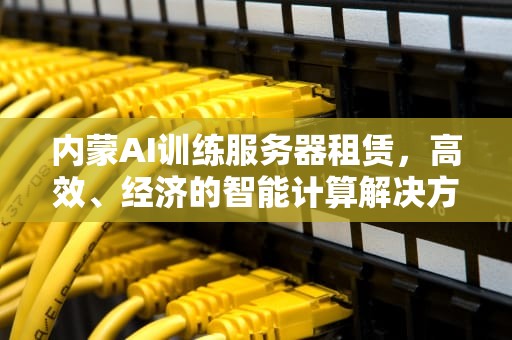 内蒙AI训练服务器租赁，高效、经济的智能计算解决方案，内蒙ai训练服务器租赁公司