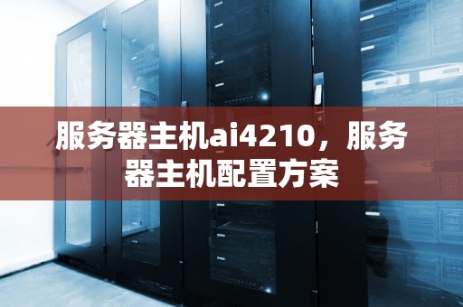 服务器主机ai4210，服务器主机配置方案
