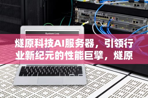 燧原科技AI服务器，引领行业新纪元的性能巨擘，燧原科技 asic
