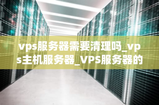 vps服务器需要清理吗_vps主机服务器_VPS服务器的清理与维护