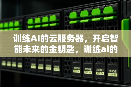 训练AI的云服务器，开启智能未来的金钥匙，训练ai的云服务器有哪些