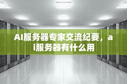 AI服务器专家交流纪要，ai服务器有什么用