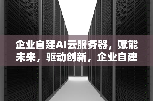 企业自建AI云服务器，赋能未来，驱动创新，企业自建ai云服务器怎么用