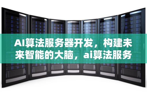 AI算法服务器开发，构建未来智能的大脑，ai算法服务器开发过程