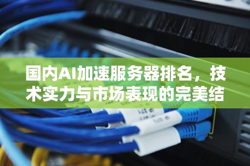国内AI加速服务器排名，技术实力与市场表现的完美结合，国内ai加速服务器排名前十