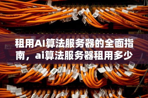 租用AI算法服务器的全面指南，ai算法服务器租用多少钱一年啊