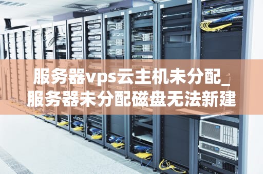 服务器vps云主机未分配_服务器未分配磁盘无法新建_服务器VPS云主机未分配的深度解析