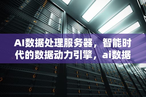 AI数据处理服务器，智能时代的数据动力引擎，ai数据处理服务器有哪些