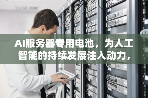 AI服务器专用电池，为人工智能的持续发展注入动力，ai服务器专用电池是什么