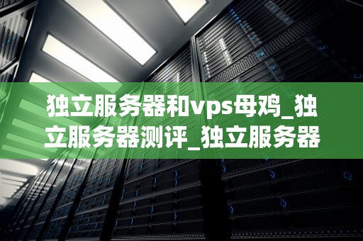 独立服务器和vps母鸡_独立服务器测评_独立服务器与VPS母鸡：全面比较与选择指南