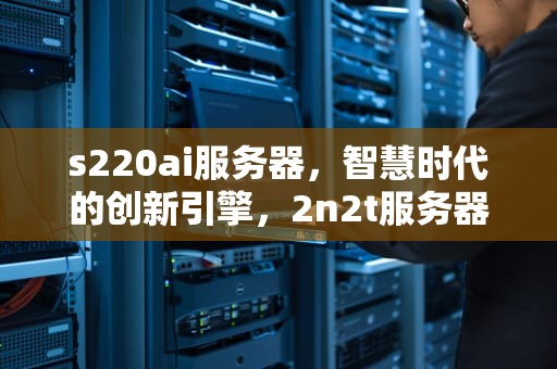 s220ai服务器，智慧时代的创新引擎，2n2t服务器
