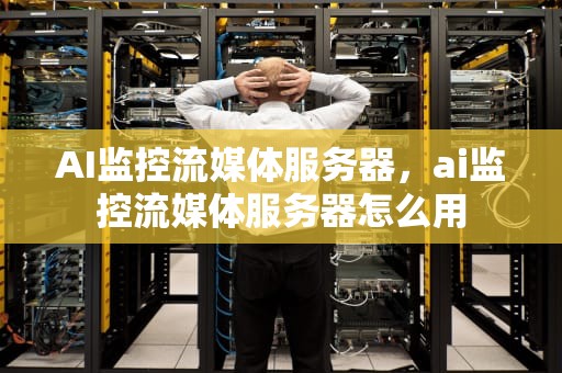 AI监控流媒体服务器，ai监控流媒体服务器怎么用