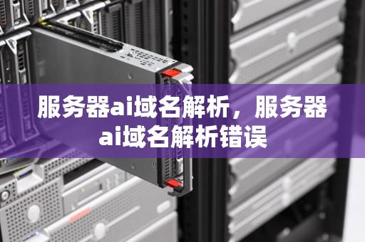 服务器ai域名解析，服务器ai域名解析错误