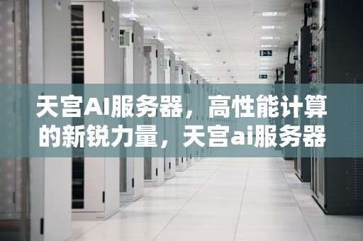 天宫AI服务器，高性能计算的新锐力量，天宫ai服务器位于哪里的