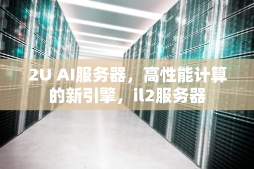 2U AI服务器，高性能计算的新引擎，il2服务器
