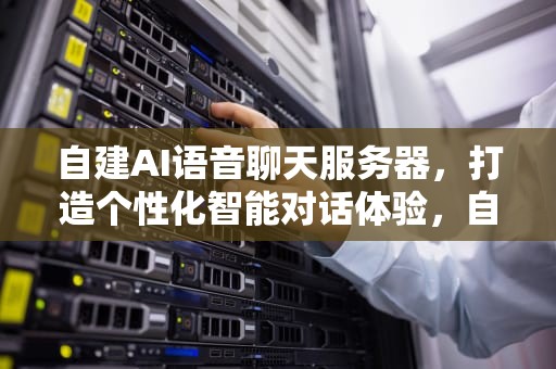 自建AI语音聊天服务器，打造个性化智能对话体验，自建ai语音聊天服务器怎么用
