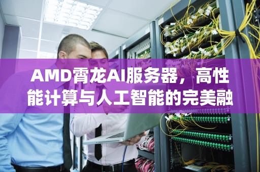 AMD霄龙AI服务器，高性能计算与人工智能的完美融合，霄龙服务器cpu