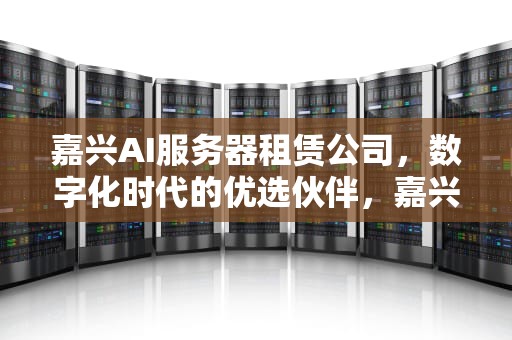 嘉兴AI服务器租赁公司，数字化时代的优选伙伴，嘉兴ai服务器租赁公司地址