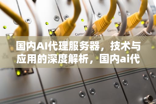 国内AI代理服务器，技术与应用的深度解析，国内ai代理服务器有哪些