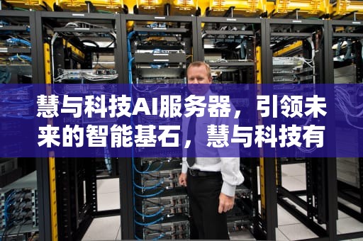 慧与科技AI服务器，引领未来的智能基石，慧与科技有限公司